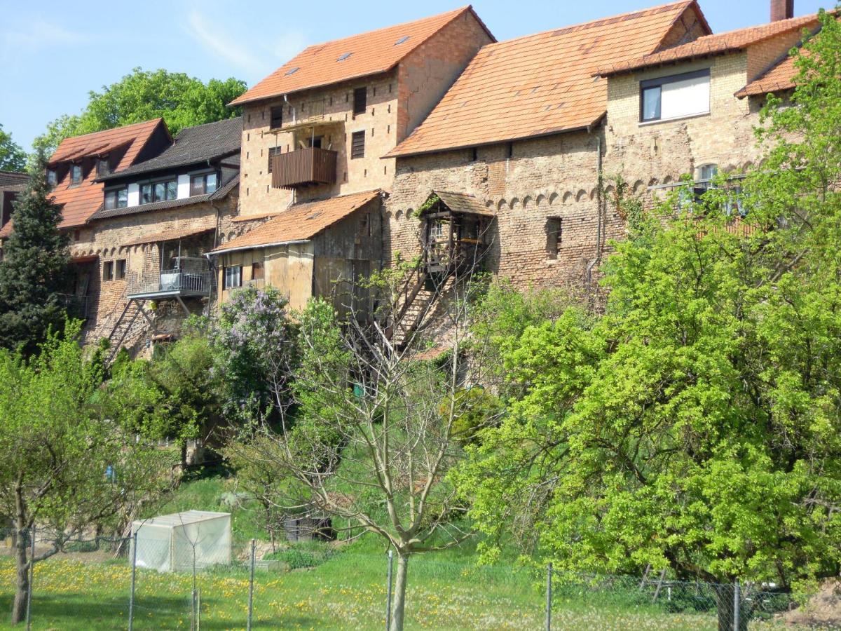 Gaestehaus Susanne Pfaffmann Landau in der Pfalz Exteriér fotografie